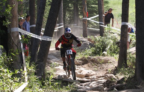 ekoi mtb trail forest